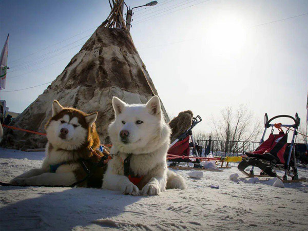 تور شفق قطبی ( مورمانسک + مسکو)